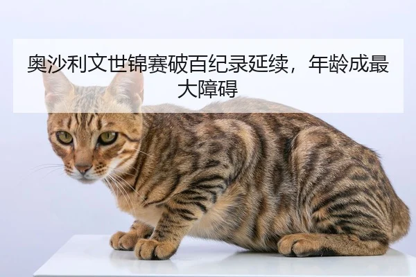 奥沙利文世锦赛破百纪录延续，年龄成最大障碍