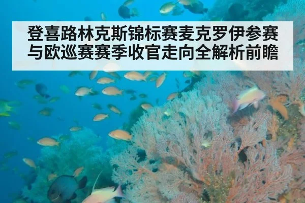登喜路林克斯锦标赛麦克罗伊参赛与欧巡赛赛季收官走向全解析前瞻